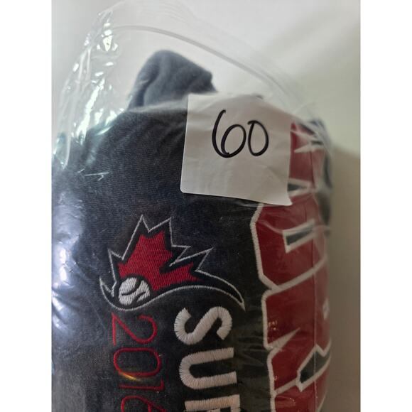 Women's World SOFTBALL Championship 2016 Surrey Canada Gray Pullover Hoodie SZ L - Picture 8 of 8